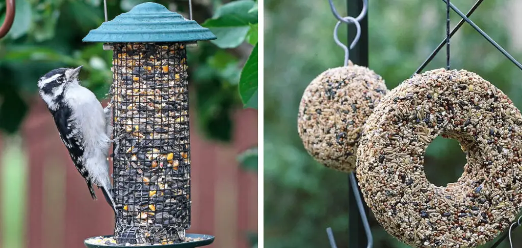 How to Make a Bird Seed Block