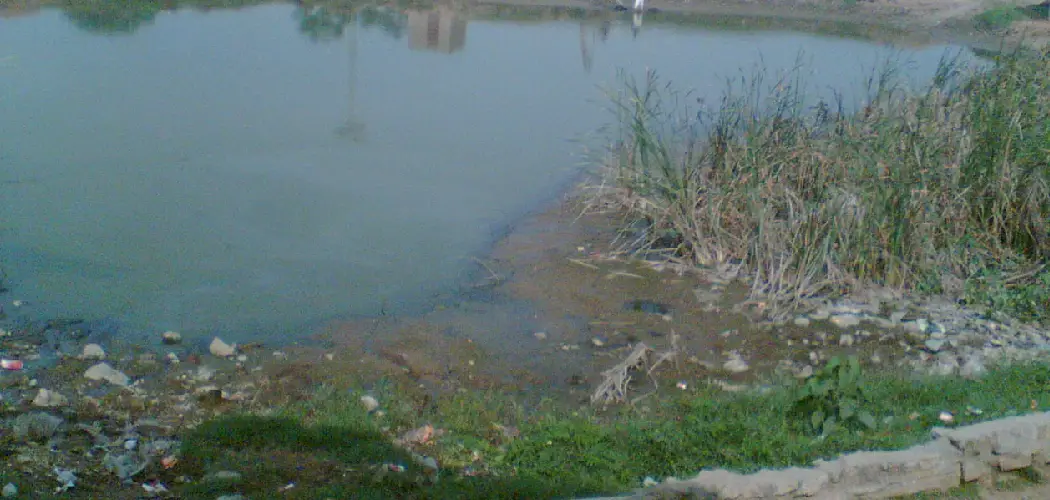 How to Remove Silt From Pond 6 Easy Instructions (2024)
