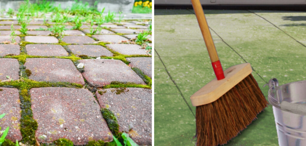How to Stop Patio Going Green