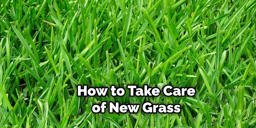 How to Take Care of New Grass
