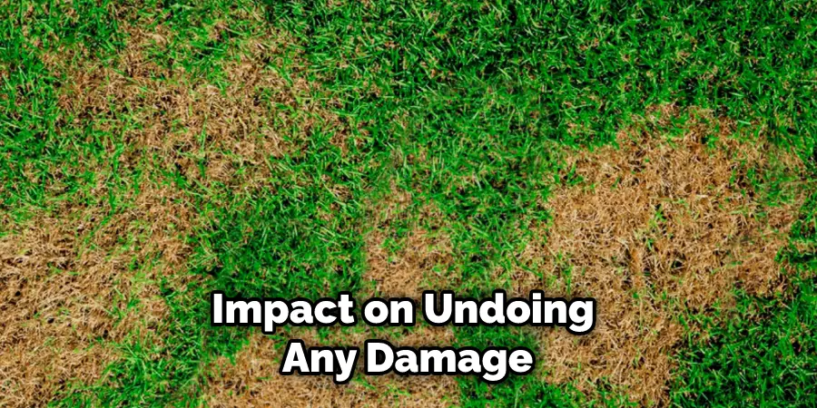Impact on Undoing Any Damage