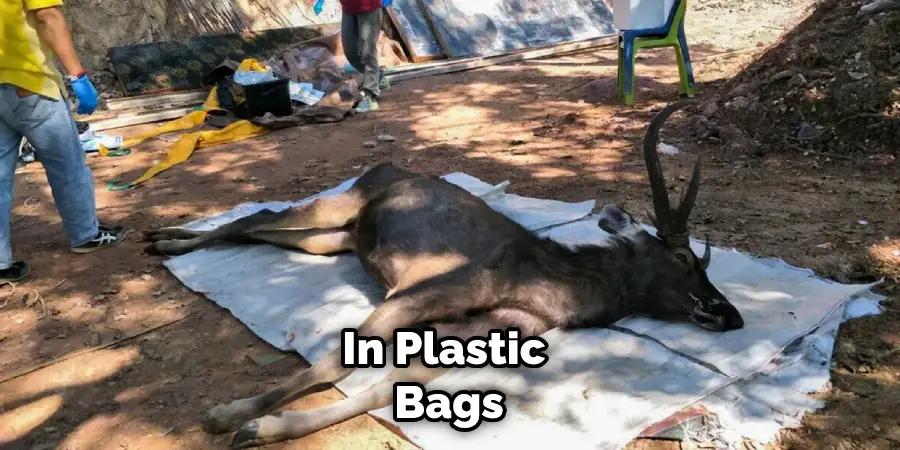 In Plastic Bags