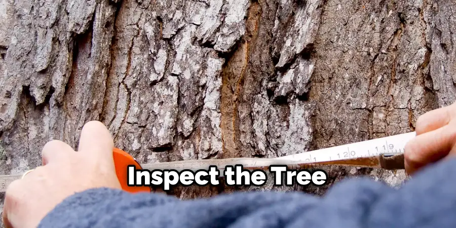  Inspect the Tree 