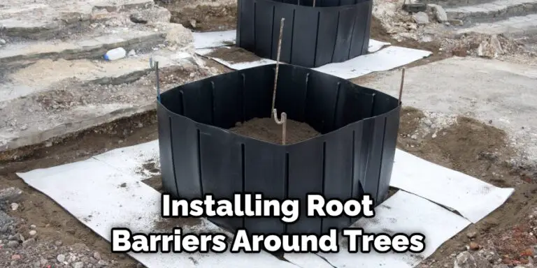 How to Repair Concrete Driveway Damaged by Tree Roots | 10 Methods