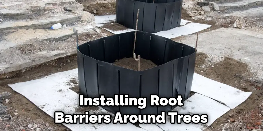 Installing Root Barriers Around Trees