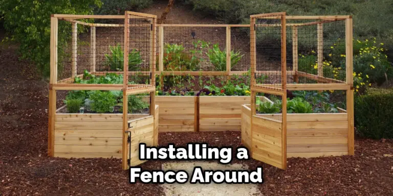 How to Keep Groundhogs Out of Raised Garden Beds | 6 Easy Guide