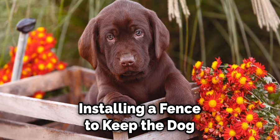  Installing a Fence to Keep the Dog