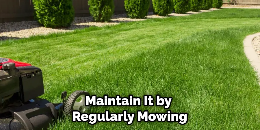 Maintain It by Regularly Mowing