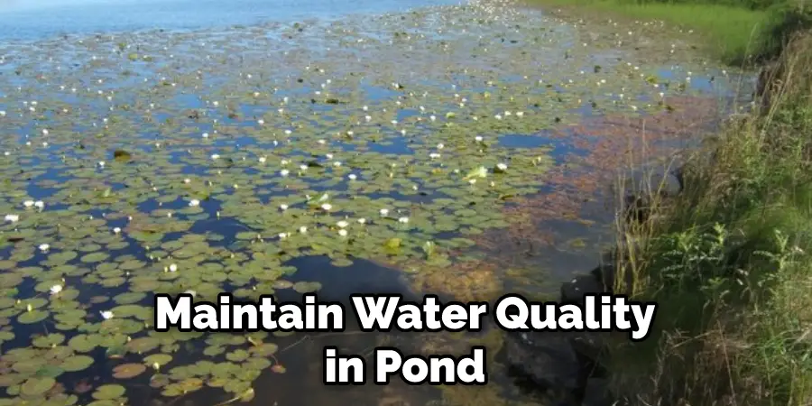 Maintain Water Quality in Pond