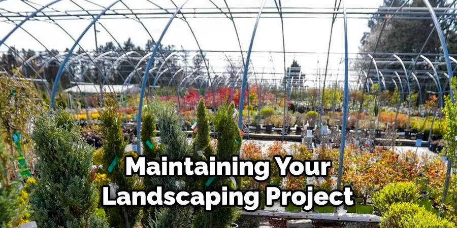 Maintaining Your Landscaping Project