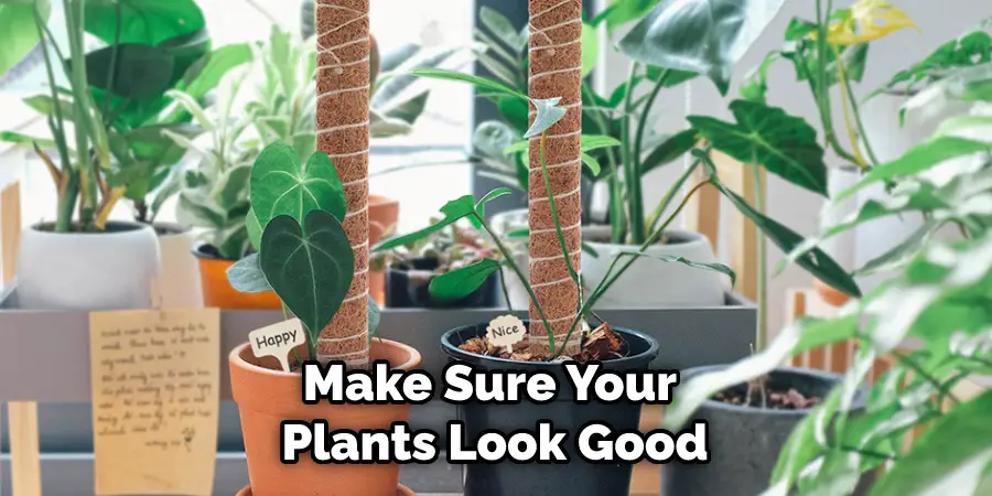 Make Sure Your Plants Look Good