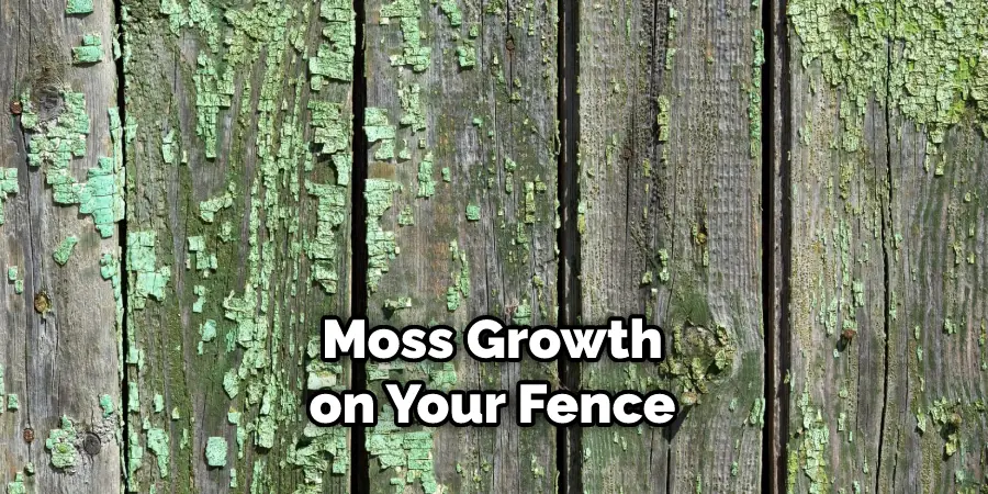 Moss Growth on Your Fence