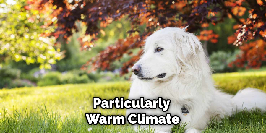 Particularly Warm Climate