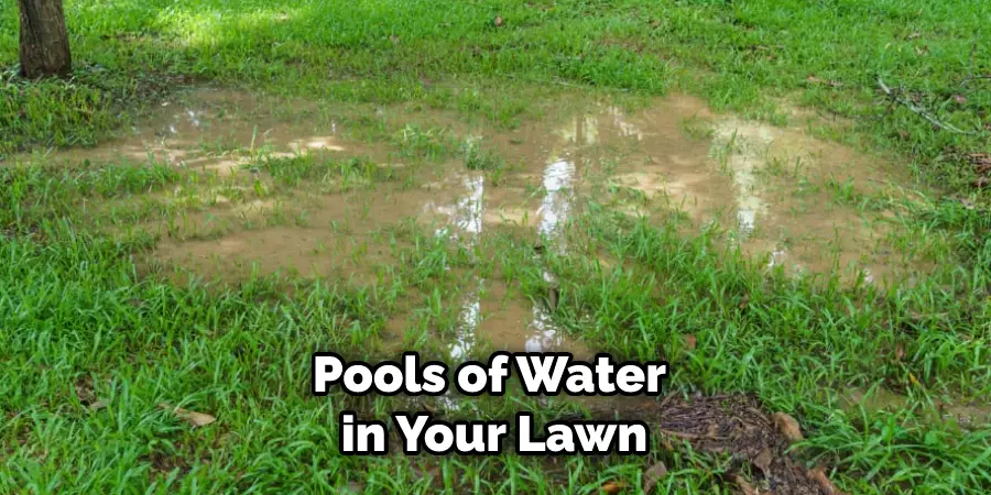 Pools of Water in Your Lawn