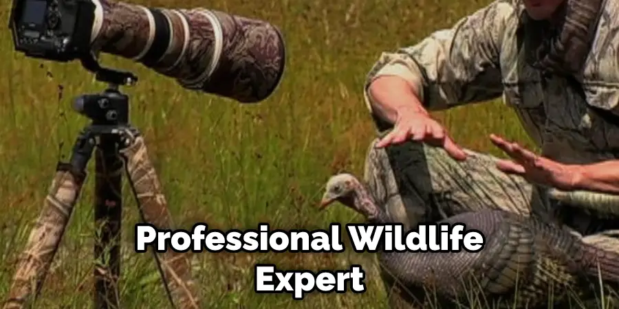Professional Wildlife Expert