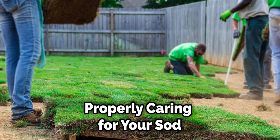 Properly Caring for Your Sod