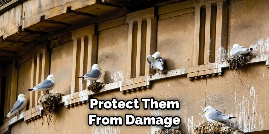  Protect Them From Damage