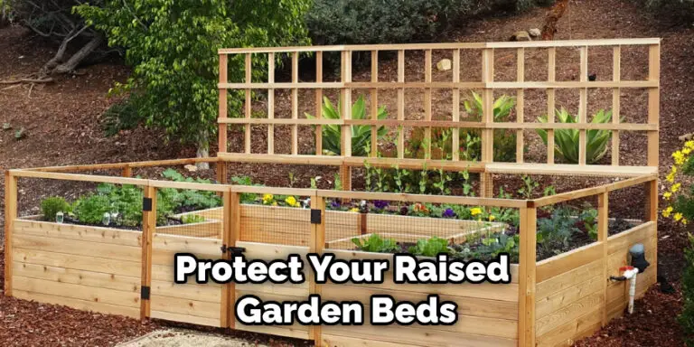 How to Keep Groundhogs Out of Raised Garden Beds | 6 Easy Guide