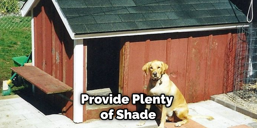 Provide Plenty of Shade