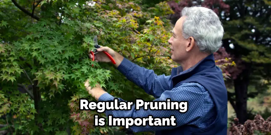 Regular Pruning is Important