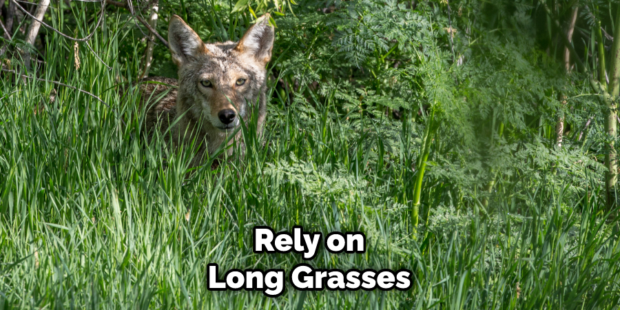  Rely on Long Grasses