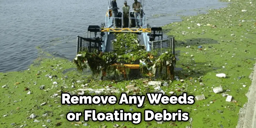 Remove Any Weeds or Floating Debris