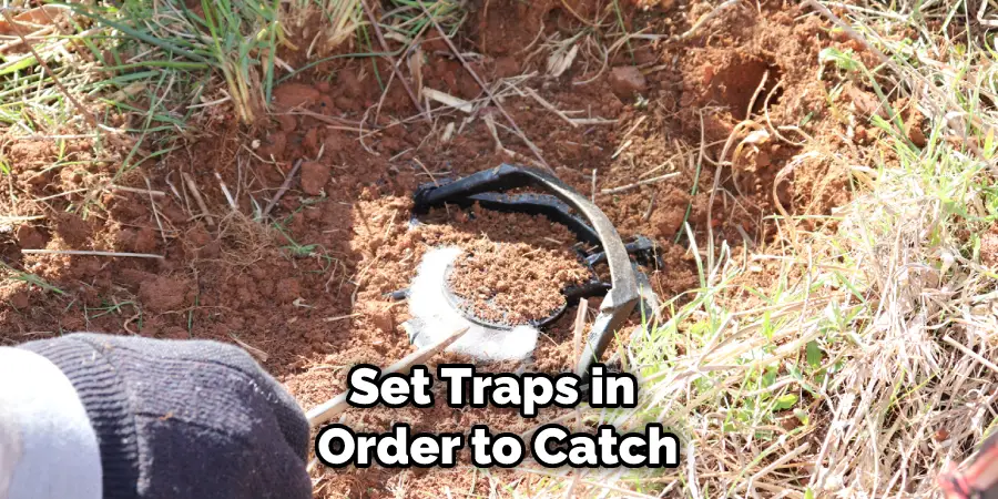 Set Traps in Order to Catch