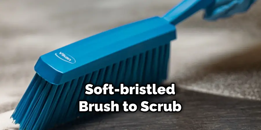 Soft-bristled Brush to Scrub