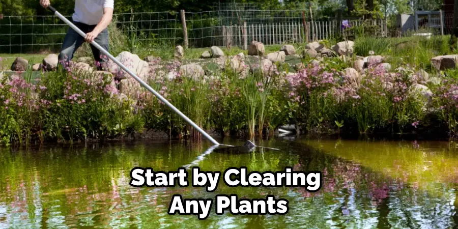 Start by Clearing Any Plants