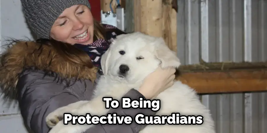 To Being Protective Guardians