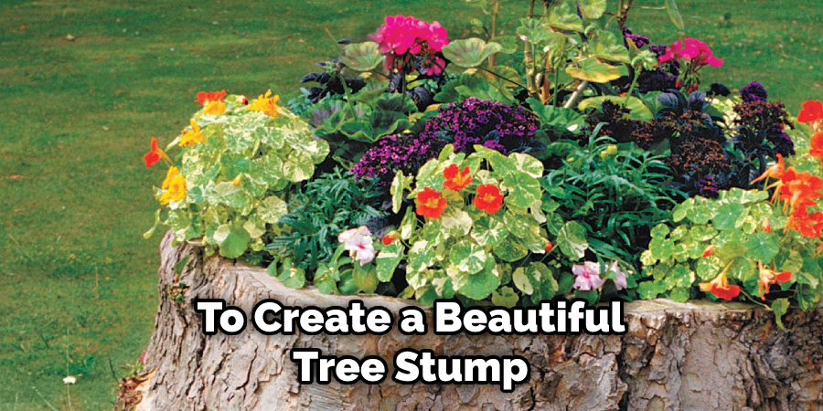 To Create a Beautiful Tree Stump 