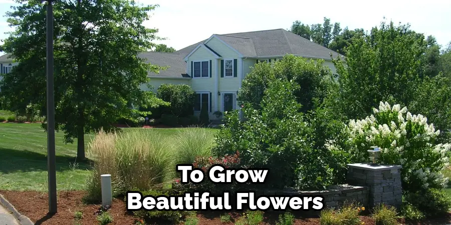 To Grow Beautiful Flowers