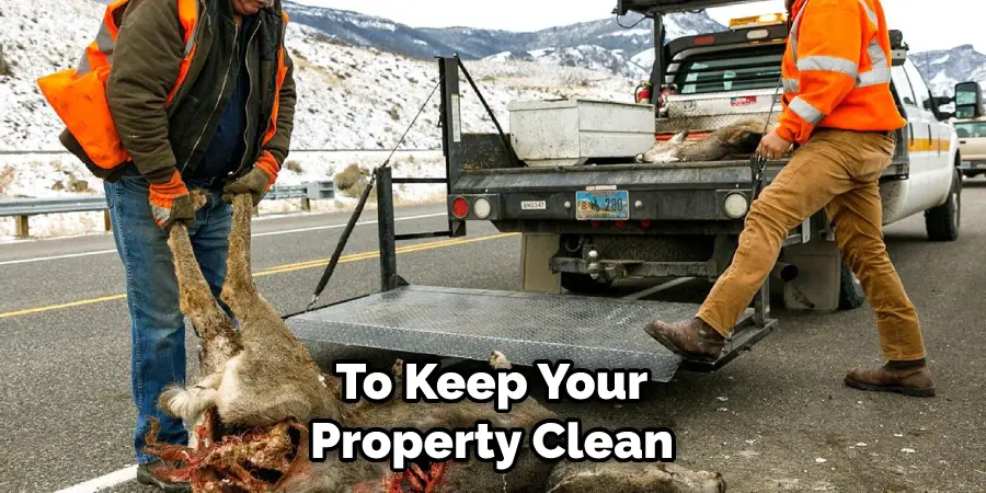  To Keep Your Property Clean