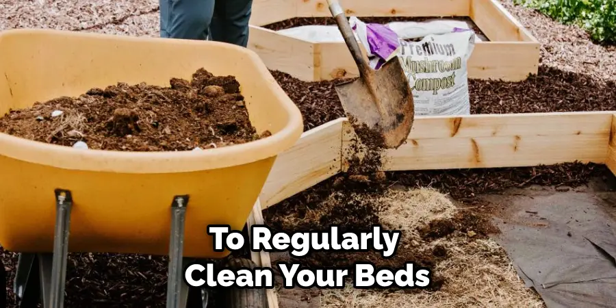 To Regularly Clean Your Beds