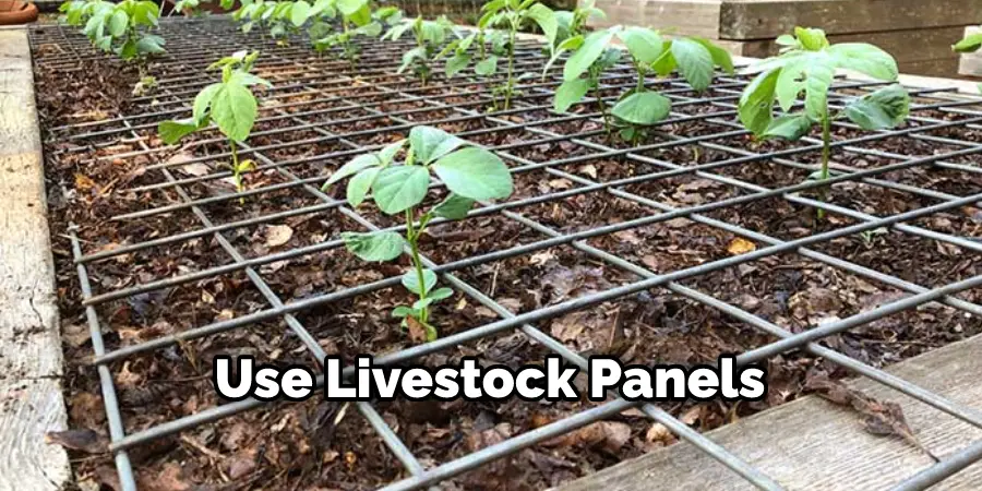 Use Livestock Panels