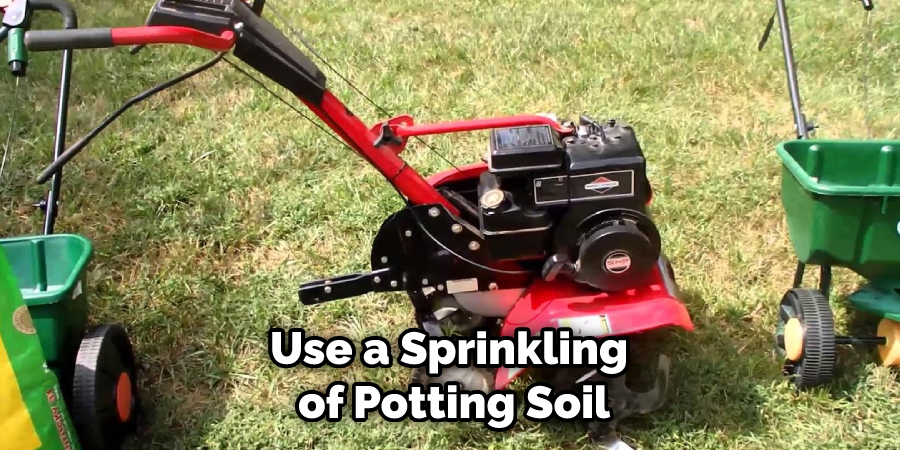 Use a Sprinkling of Potting Soil