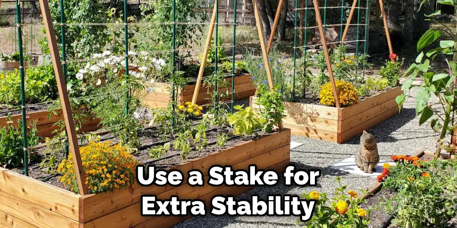 Use a Stake for Extra Stability