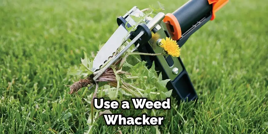 Use a Weed Whacker