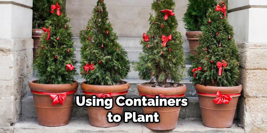 Using Containers to Plant