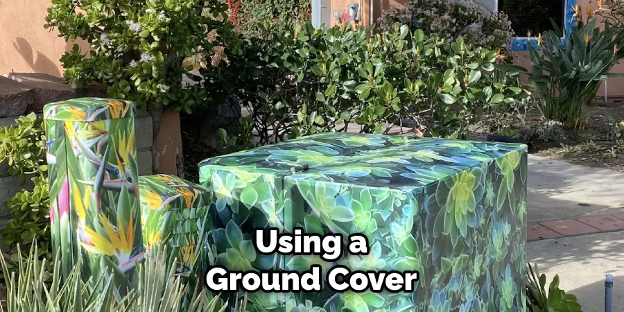 Using a
Ground Cover