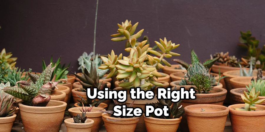 Using the Right Size Pot