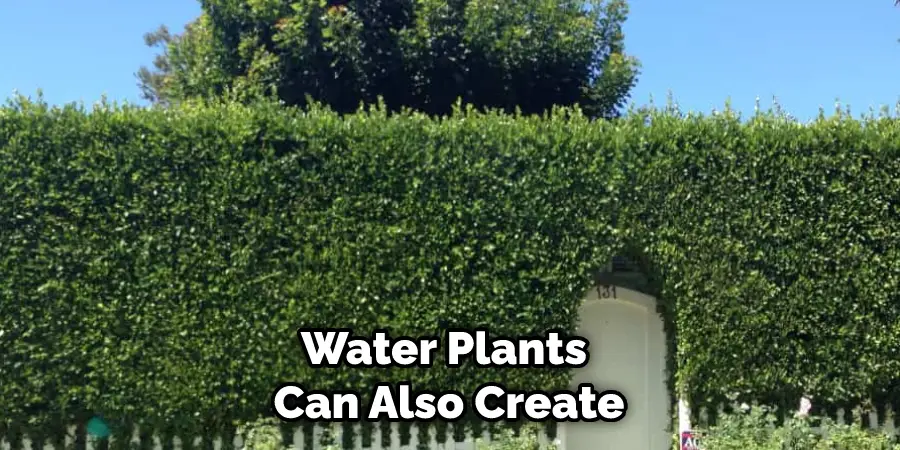 Water Plants Can Also Create