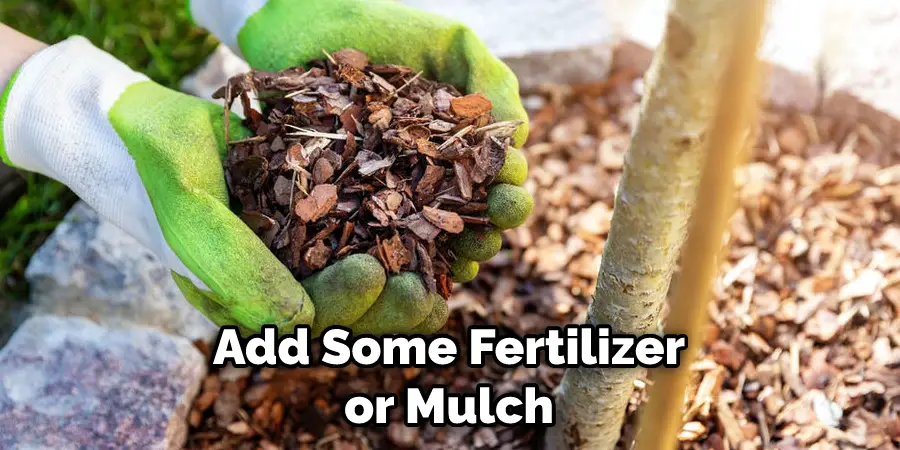 Add Some Fertilizer or Mulch