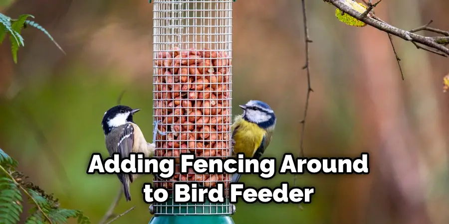 Adding Fencing Around to Bird Feeder