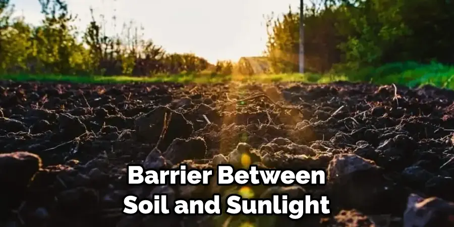 Barrier Between Soil and Sunlight