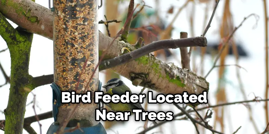 Bird Feeder Located Near Trees