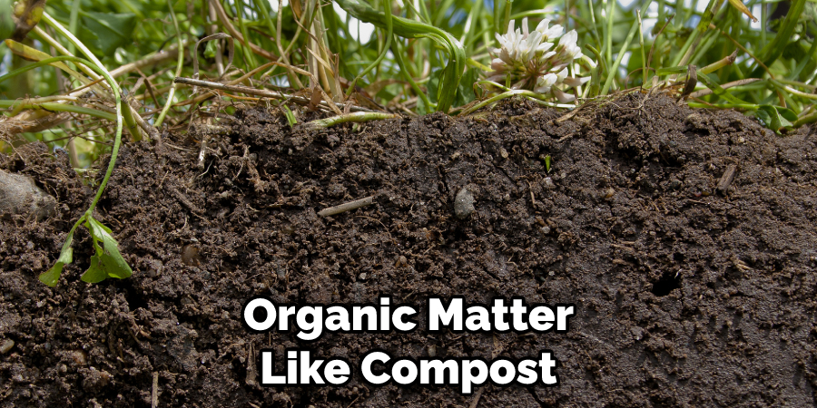 Organic Matter Like Compost