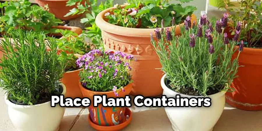 Place Plant Containers