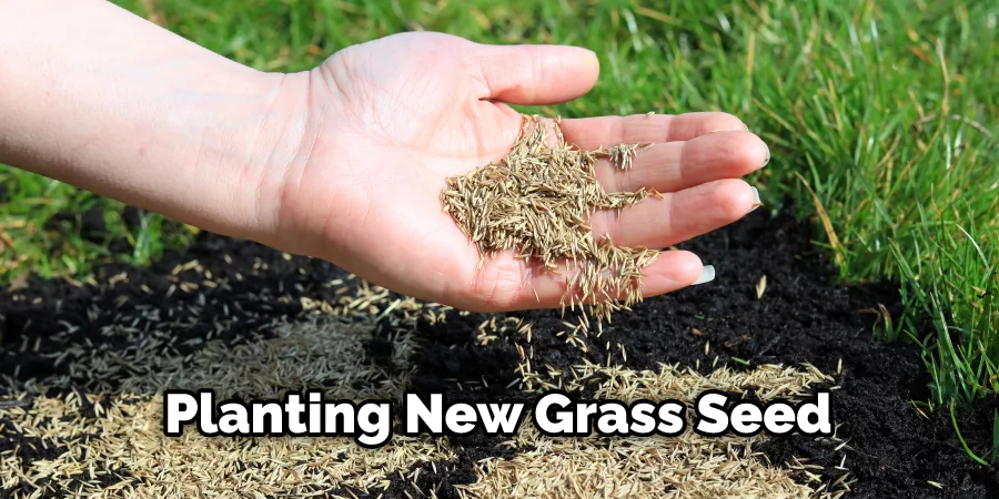 Planting New Grass Seed
