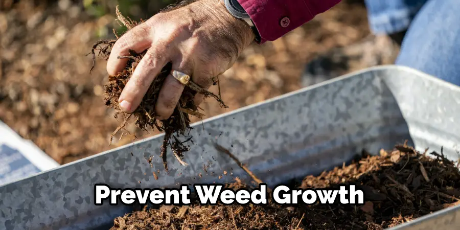 Prevent Weed Growth